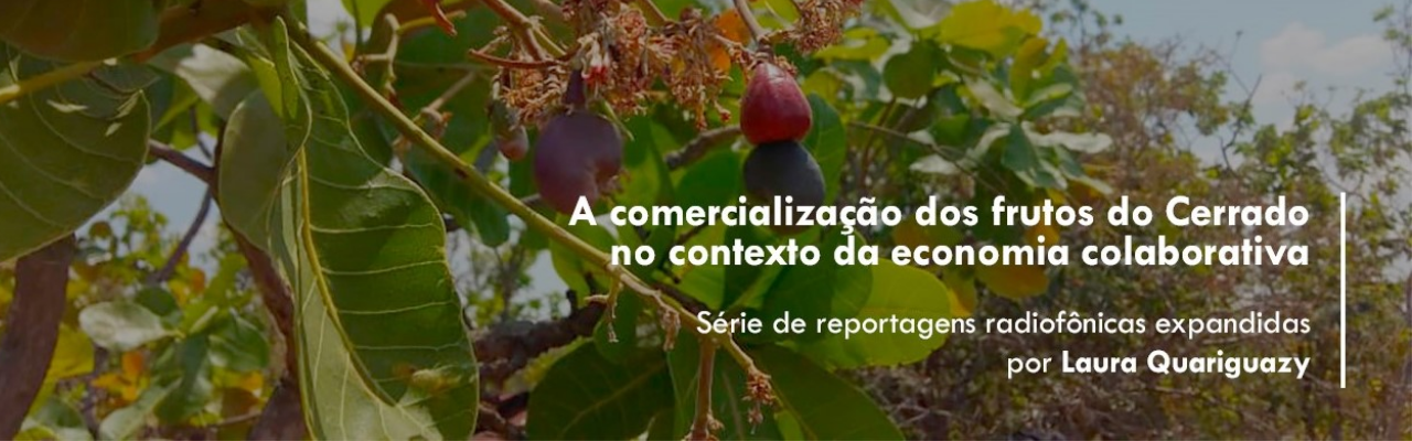 Banner - Frutos do Cerrado